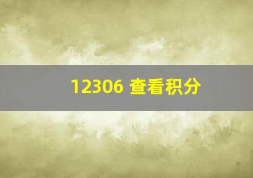 12306 查看积分